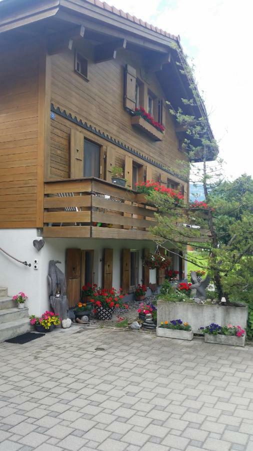 Obereigasse Διαμέρισμα Wilderswil Εξωτερικό φωτογραφία